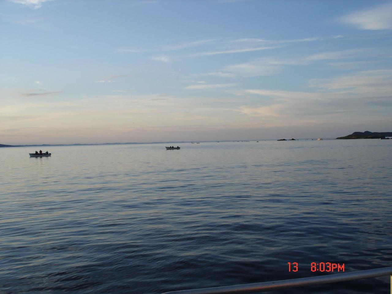 Dildo Boathouse Inn ภายนอก รูปภาพ